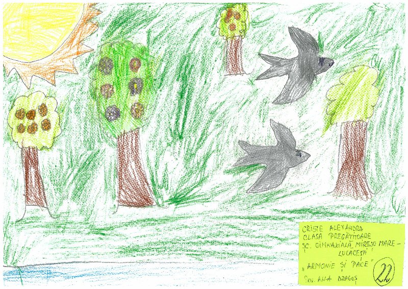 22_Alexandra CRISTE_Lucacesti.jpg